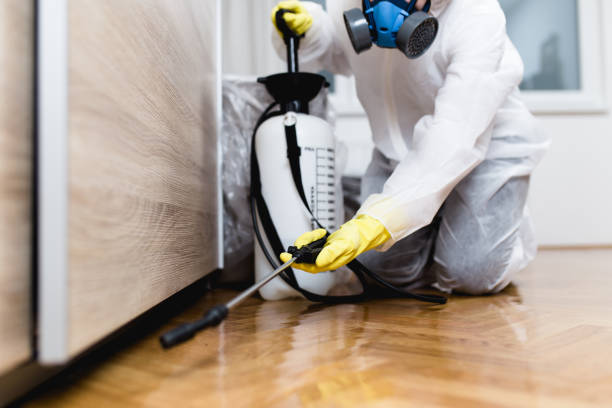 Best Residential Pest Control  in Jennerstown, PA