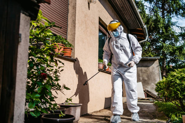 Best Pest Prevention Services  in Jennerstown, PA