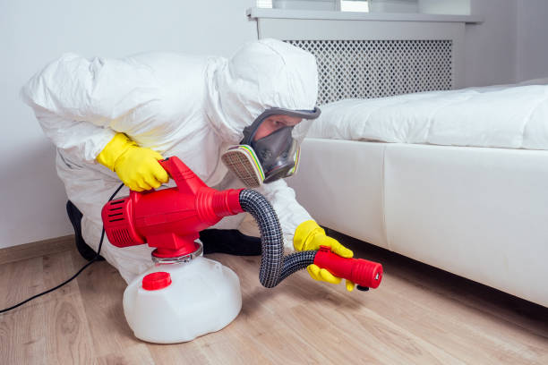 Best Local Pest Control Services  in Jennerstown, PA