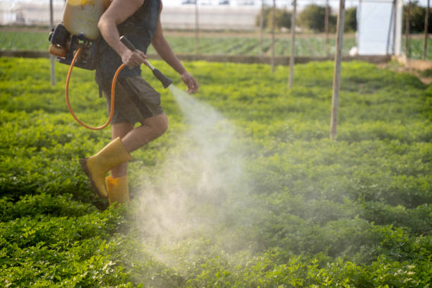 Best Pest Prevention Services  in Jennerstown, PA