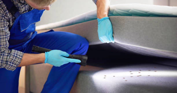Best Exterminator Services  in Jennerstown, PA
