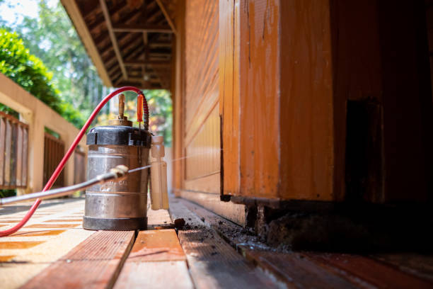 Best Pest Removal Services  in Jennerstown, PA