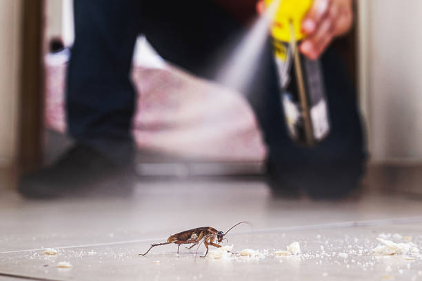 Pest Prevention Services in Jennerstown, PA